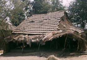 Halpati Life