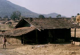 Warli Life
